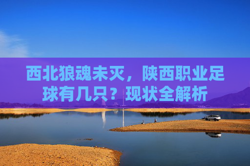 西北狼魂未灭,陕西职业足球有几只?现状全解析