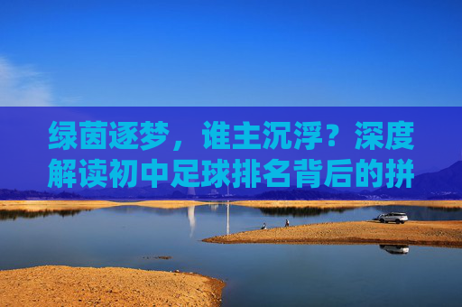 绿茵逐梦,谁主沉浮?深度解读初中足球排名背后的拼搏与成长