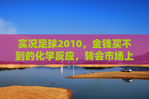 实况足球2010,金钱买不到的化学反应,转会市场上的性价比博弈