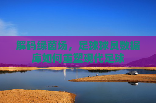 解码绿茵场,足球球员数据库如何重塑现代足球