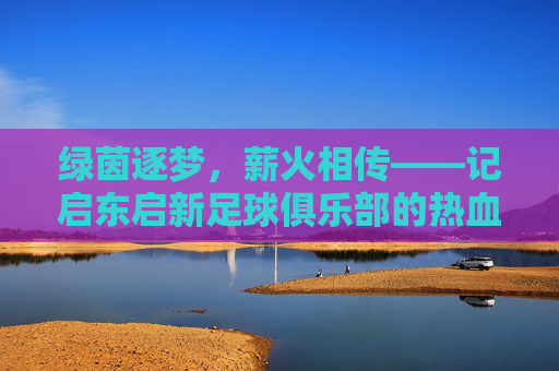 绿茵逐梦,薪火相传——记启东启新足球俱乐部的热血征程
