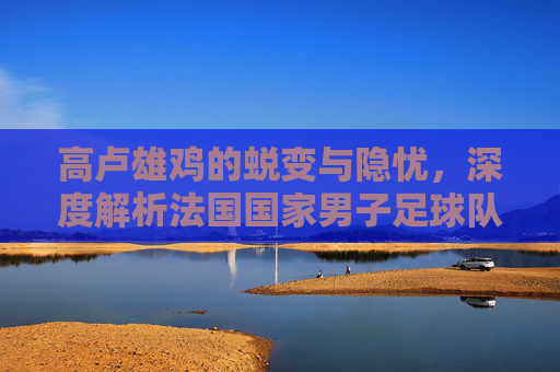 高卢雄鸡的蜕变与隐忧,深度解析法国国家男子足球队现状