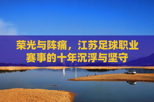荣光与阵痛,江苏足球职业赛事的十年沉浮与坚守