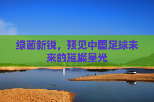 绿茵新锐,预见中国足球未来的璀璨星光