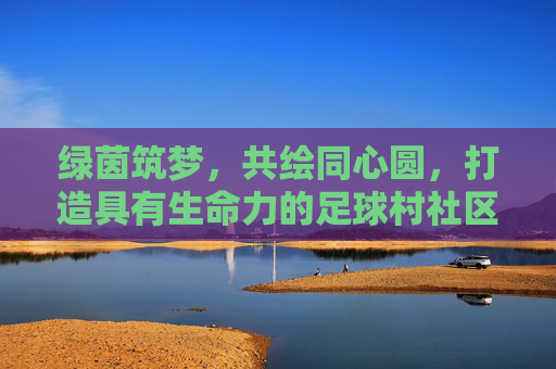 绿茵筑梦,共绘同心圆,打造具有生命力的足球村社区品牌