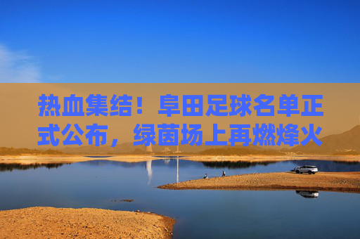 热血集结!阜田足球名单正式公布,绿茵场上再燃烽火