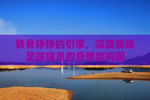 铁骨铮铮的引擎,深度解读足球球员的骨骼结构图