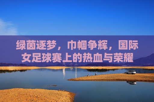 绿茵逐梦，巾帼争辉，国际女足球赛上的热血与荣耀