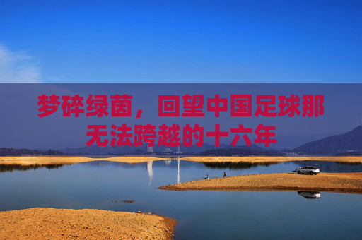 梦碎绿茵,回望中国足球那无法跨越的十六年