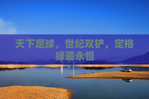 天下足球,世纪双铲,定格绿茵永恒