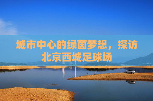 城市中心的绿茵梦想,探访北京西城足球场