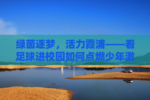 绿茵逐梦,活力霞浦——看足球进校园如何点燃少年激情