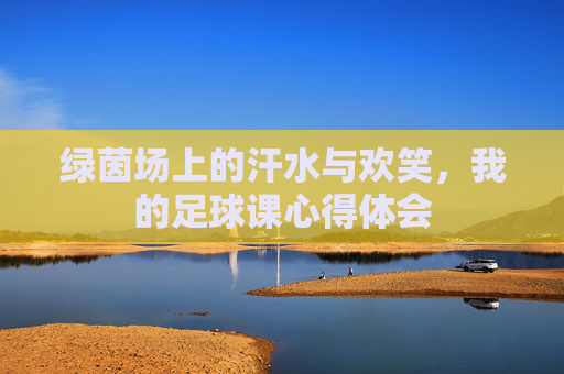 绿茵场上的汗水与欢笑,我的足球课心得体会