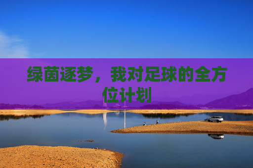 绿茵逐梦，我对足球的全方位计划