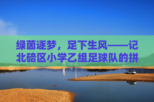 绿茵逐梦,足下生风——记北碚区小学乙组足球队的拼搏与成长