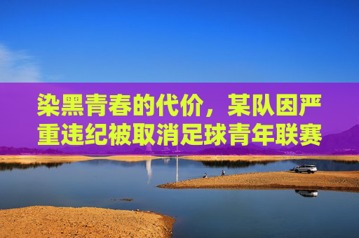 染黑青春的代价,某队因严重违纪被取消足球青年联赛资格,引发行业反思