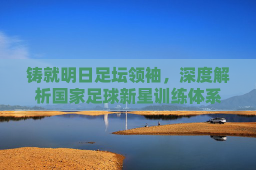 铸就明日足坛领袖,深度解析国家足球新星训练体系
