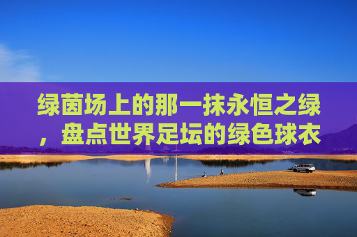 绿茵场上的那一抹永恒之绿,盘点世界足坛的绿色球衣球队