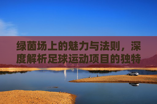 绿茵场上的魅力与法则,深度解析足球运动项目的独特特点