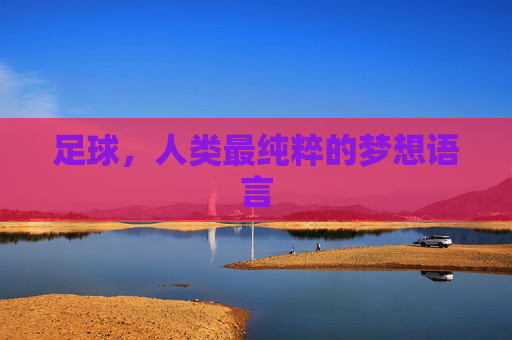 足球,人类最纯粹的梦想语言