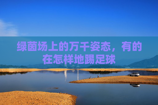 绿茵场上的万千姿态,有的在怎样地踢足球