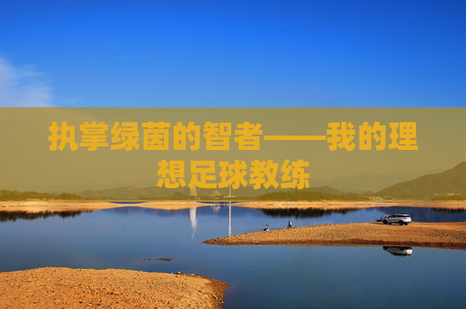 执掌绿茵的智者——我的理想足球教练