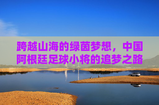 跨越山海的绿茵梦想，中国阿根廷足球小将的追梦之路