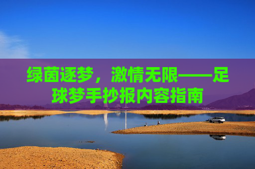 绿茵逐梦,激情无限——足球梦手抄报内容指南