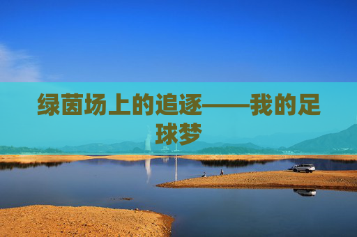 绿茵场上的追逐——我的足球梦