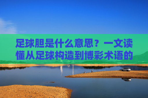 足球胆是什么意思？一文读懂从足球构造到博彩术语的全面解析