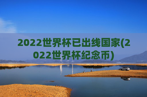 2022世界杯已出线国家(2022世界杯纪念币)