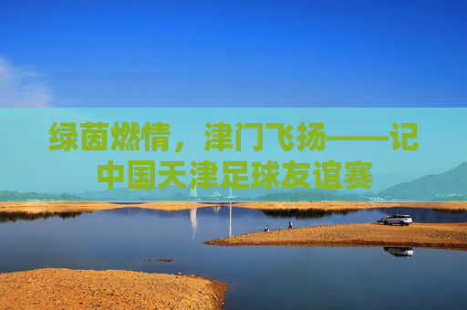 绿茵燃情,津门飞扬——记中国天津足球友谊赛