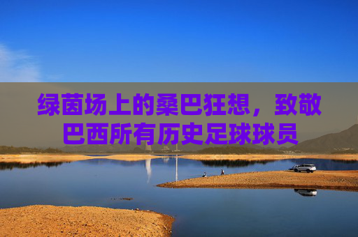 绿茵场上的桑巴狂想,致敬巴西所有历史足球球员