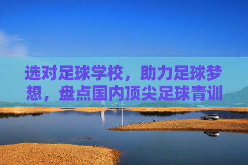 选对足球学校，助力足球梦想，盘点国内顶尖足球青训机构与选择指南