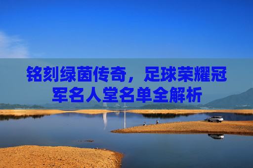 铭刻绿茵传奇,足球荣耀冠军名人堂名单全解析