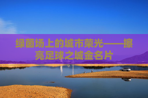 绿茵场上的城市荣光——擦亮足球之城金名片