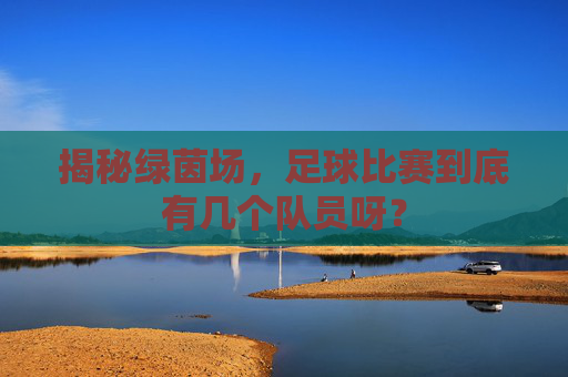 揭秘绿茵场,足球比赛到底有几个队员呀?