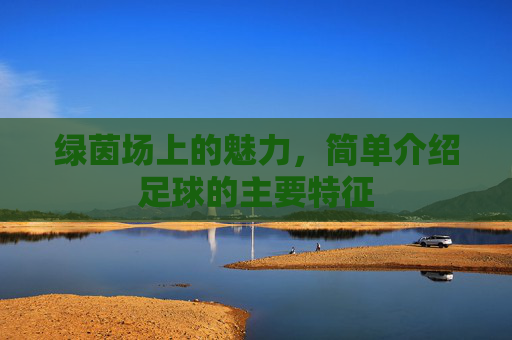 绿茵场上的魅力,简单介绍足球的主要特征