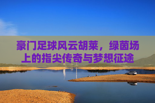豪门足球风云胡莱,绿茵场上的指尖传奇与梦想征途