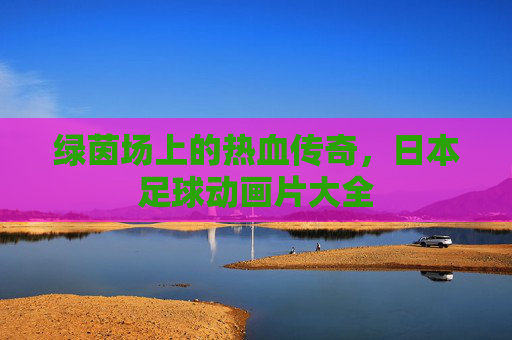绿茵场上的热血传奇,日本足球动画片大全