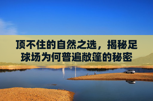 顶不住的自然之选,揭秘足球场为何普遍敞篷的秘密