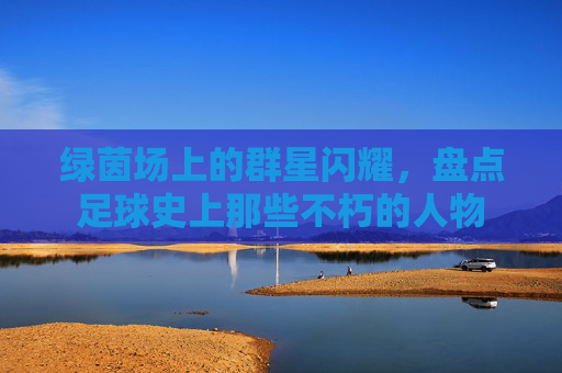 绿茵场上的群星闪耀，盘点足球史上那些不朽的人物