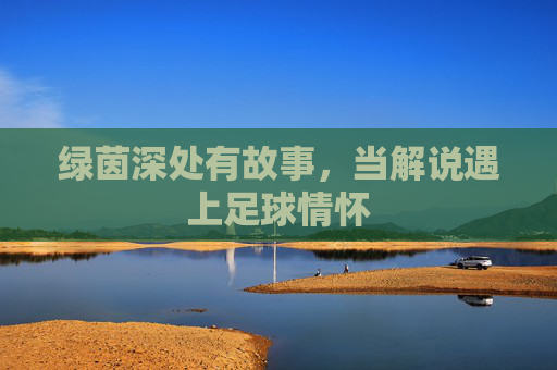 绿茵深处有故事，当解说遇上足球情怀