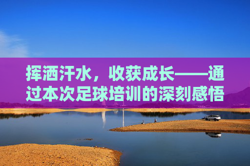 挥洒汗水,收获成长——通过本次足球培训的深刻感悟