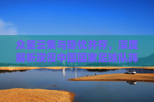 众星云集与隐忧并存，深度解析现役中国国家足球队阵容