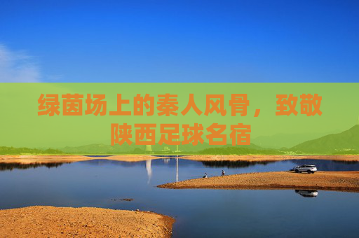 绿茵场上的秦人风骨,致敬陕西足球名宿