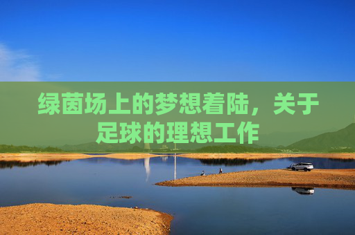 绿茵场上的梦想着陆，关于足球的理想工作