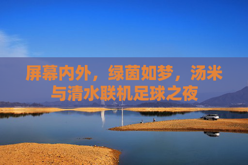 屏幕内外,绿茵如梦,汤米与清水联机足球之夜