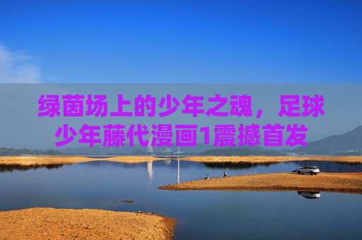 绿茵场上的少年之魂,足球少年藤代漫画1震撼首发