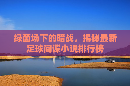 绿茵场下的暗战,揭秘最新足球间谍小说排行榜